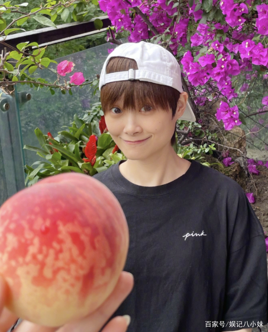 方脸女明星抗老_鹅蛋脸女明星_国字脸女明星美