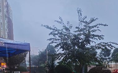 明星违约代言要赔偿多少怎么办