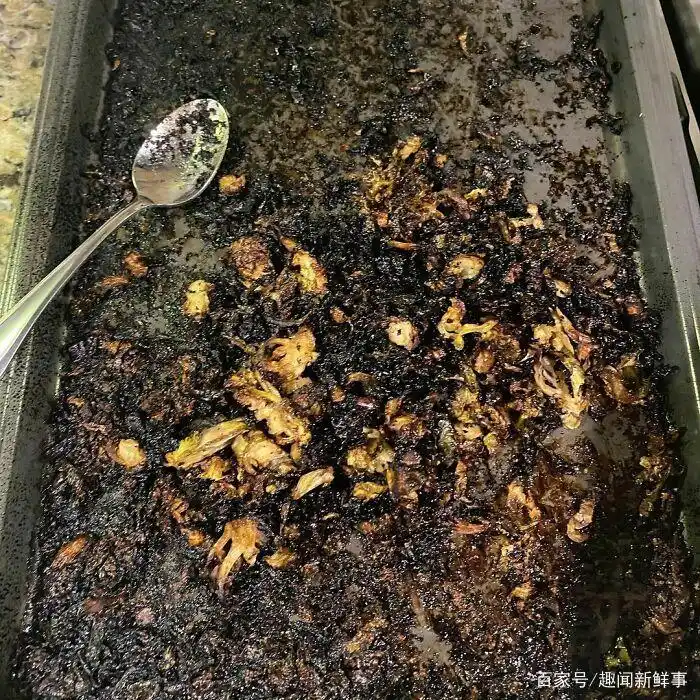 明星黑暗料理图片大全高清,_烤箱食物失败案例_煮鸡蛋爆炸